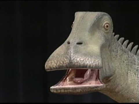 Un equipo de paleontólogos descubre al antecesor de las vacas