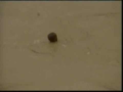 Un niño pequeño se ahogan en un río en República Dominicana