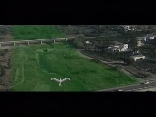 Denuncian la construcción de viviendas en el entorno del río Algar