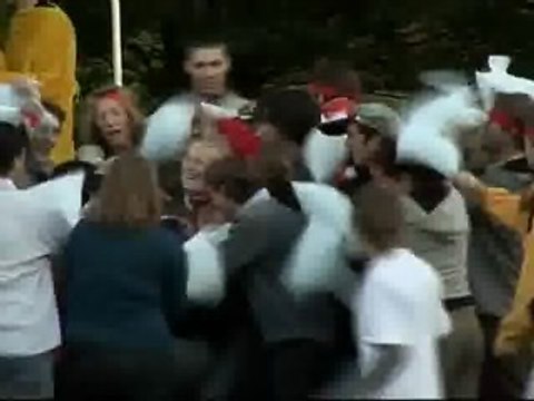 Guerra de almohadas contra la rivalidad lingüística