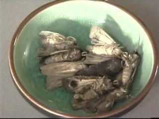 Un suculento menú elaborado a base de polillas