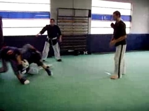 yoseikan-budo (lyon)