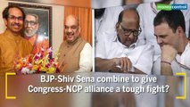 Explained: BJP’s alliance arithmetic and NDA’s expanding footprint