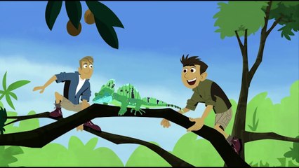 Wild Kratts - Animals Make a Splash   Kids Videos