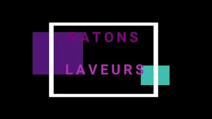 Ratons laveurs mignons