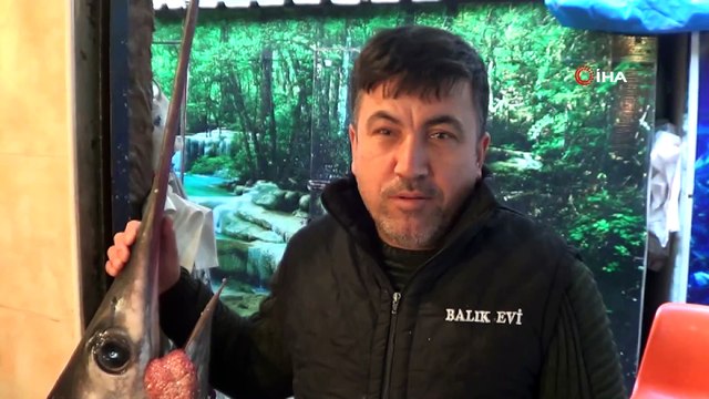 Kılıç balığı koyun fiyatına satıldı...2 metrelik kılıç balığı 2 bin 800 liradan alıcı buldu