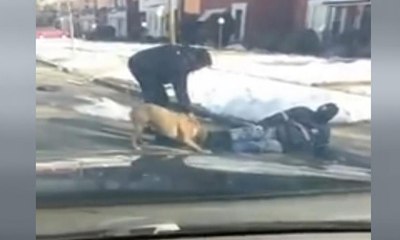 Postacı, pitbull saldırısına uğradı