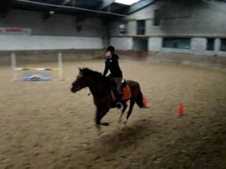 stage compet : camille et gold charm