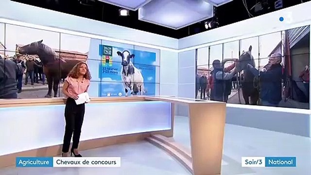 Doubs : des chevaux comtois en route pour le Salon de l’agriculture