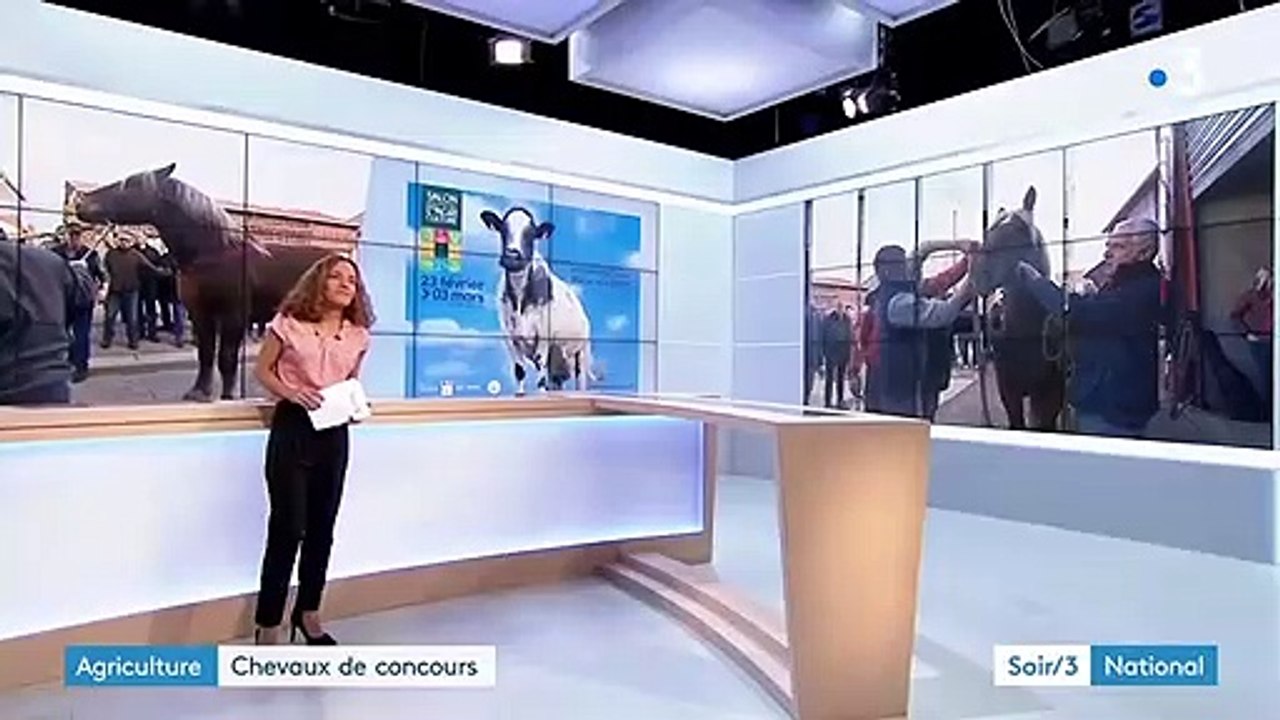 Doubs : des chevaux comtois en route pour le Salon de l’agriculture