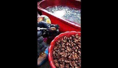 Ils injectent de l'eau dans la viande et le poisson !