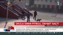 Korku ve panik bir arada