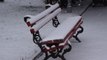 Rinisin reshjet e dëborës, nga juglindja deri në veri të vendit - Top Channel Albania - News - Lajme