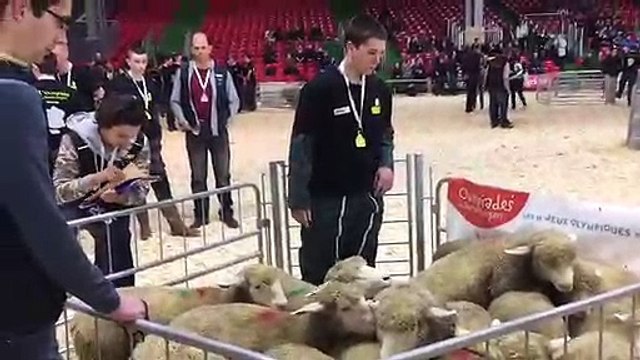 Salon de l'agriculture : les Ovinpiades avec les Franc-Comtois