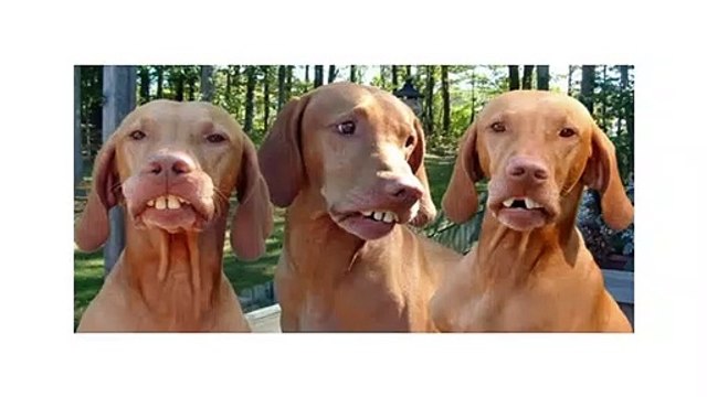 가인안마 ㎮ 강남가인안마〔olo∏2145∏4594 우주최강♨도실장〕 ㎥ 강남가인안마견적 ⇒ 7년노하우 welfare ㎮ 가인안마 ㎞ 가인안마비교 ％ sage ㎧ 가인안마시술소초이스 ⇒ 가인안마방번호 ％ 가인안마 ㎥