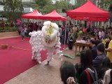 Human Mobile Stage 128B, 2019 CNY Kung Fu Show and Picnic, Lion Dance Kung Fu