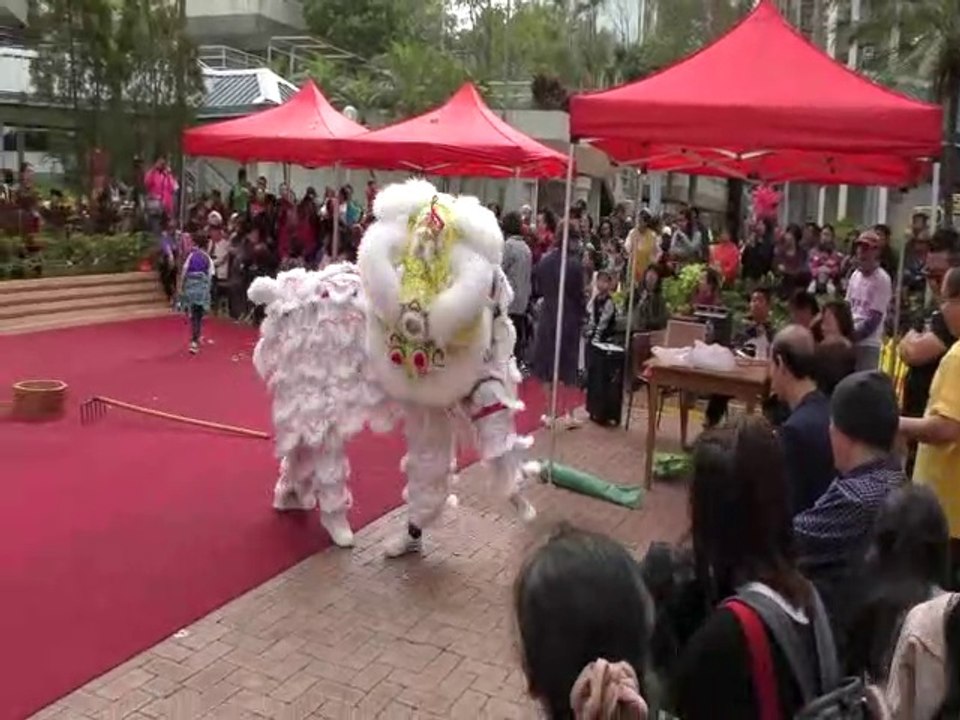 Human Mobile Stage 128B, 2019 CNY Kung Fu Show and Picnic, Lion Dance Kung Fu