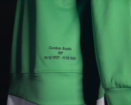 Stoke keeper Butland to wear special kit in memory of Gordon Banks