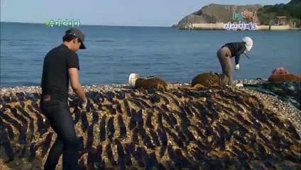 여수출장안마 -미인100%ョØ7Øs4110s6674『카톡CK654』여수전지역출장마사지여수출장nk안마og여수출장마사지황형♀￥≒코스프레가능호텔콜걸