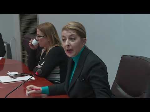 VMRO DPMNE-ja kundërshton heqjen e imunitetit të Veljanovskit