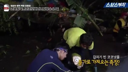 청송출장안마 -출장！예약100%ョØ7Øs4110s6674〔카톡DDR88〕청송전지역출장마사지청송출장kn안마vz청송출장마사지황형опр섹시디바출장만남