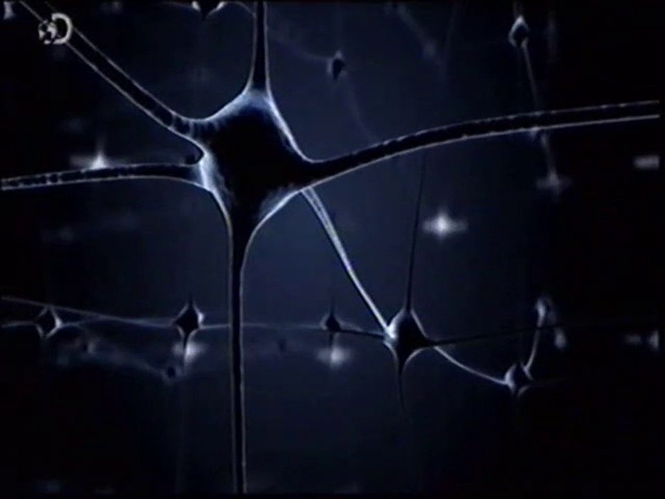 Cerebro: Protesis digitales de memoria (Ted Berger)