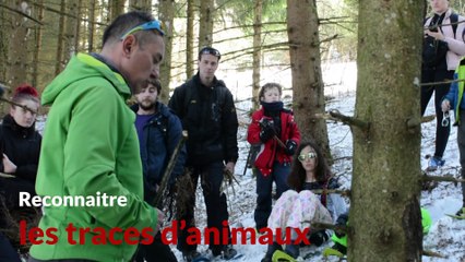 Les aventuriers d'Habère-Poche