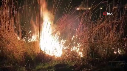 Sazlıklar alev alev yandı