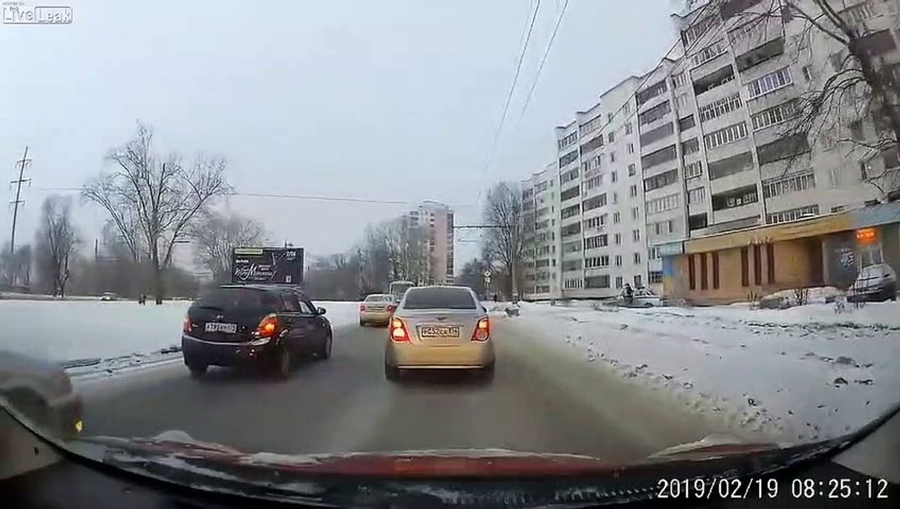 Cette policière aide un chien à traverser la route en stoppant les voitures !