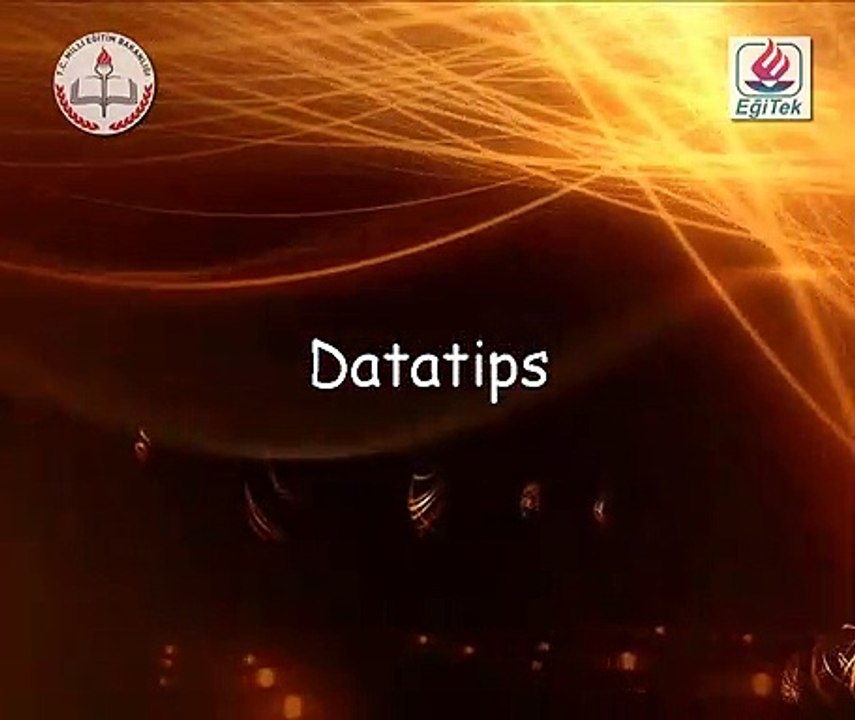 07 Datatips