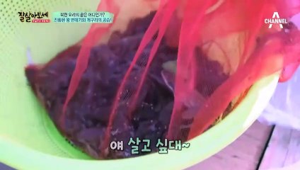 해운대구출장안마 -출장！콜걸100%ョØ7Øq7575qØØ62【YOY87카톡】해운대구전지역출장마사지해운대구출장oe안마ak해운대구출장마사지황형トドナ마인드최고출장미녀