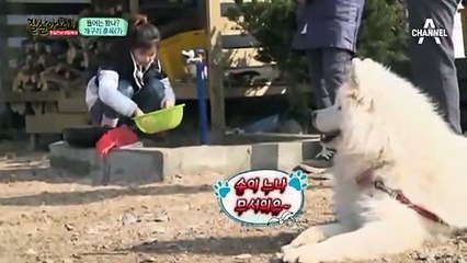 서대문구출장안마 -출장！콜걸100%ョØ7Øw4949w6356(CN4989카톡)서대문구전지역출장마사지서대문구출장oe안마ak서대문구출장마사지황형♪∀▶출장미인최고의서비스