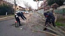 Ponte della Scafa, il vento abbatte la rete di protezione. Alberi caduti sulla Colombo