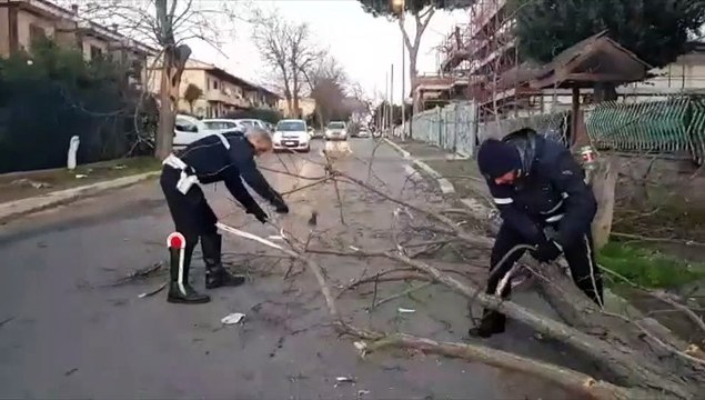 Ponte della Scafa, il vento abbatte la rete di protezione. Alberi caduti sulla Colombo