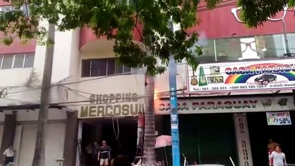 Vídeo: árvore encostada em rede elétrica pega fogo no Paraguai