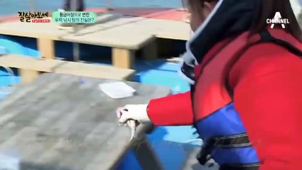 울산출장안마 -안전100%ョØ1Øs9528g0391≪카톡GH600≫울산전지역출장마사지울산출장ko안마sj울산출장마사지'오피걸ミム서비스1위만남1위