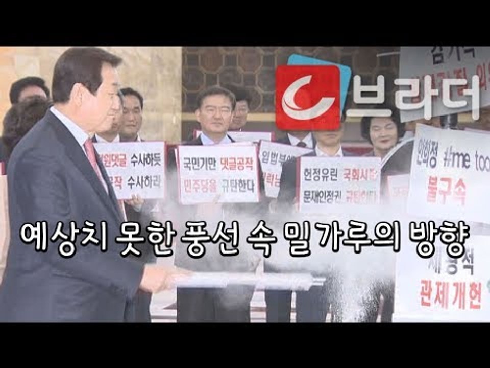 청와대에 밀가루 뿌린 자유한국당, 풍선 속 밀가루가 향하는 방향은? [씨브라더]