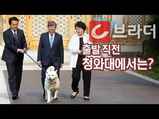 ‘마루의 배웅’ 문재인 대통령 배웅하는 청와대 직원들 (feat. 동물잠옷) [씨브라더]