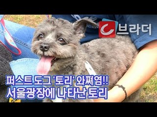 문재인 대통령 반려견 퍼스트 도그 ‘토리’의 외출, 개식용 반대 집회 ‘깜짝’ 등장 [씨브라더]