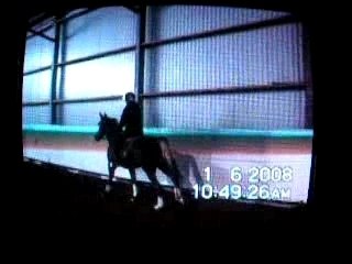 Saut du 6 janvier 2008