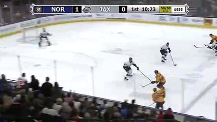 ECHL Norfolk Admirals 3 at Jacksonville Icemen 1