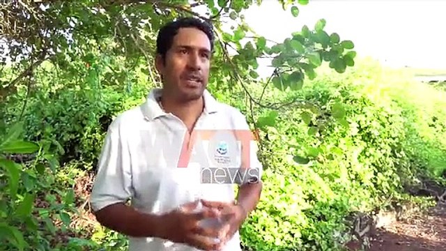 Extinct giant tortoise rediscovered in Galapagos Islands