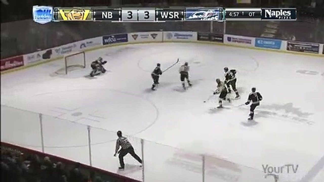 OHL Matt Struthers OT Winner vs WSR
