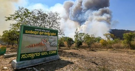 ബന്ദിപ്പൂര്‍ കടുവ സംരക്ഷകേന്ദ്രത്തില്‍ കാട്ടുതീ
