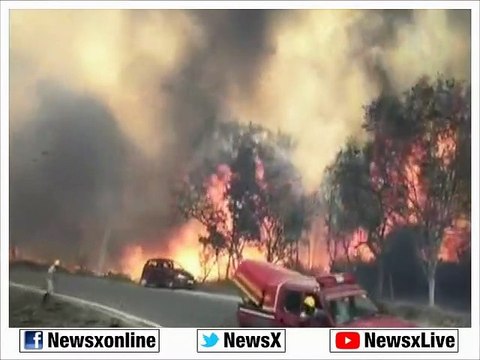 Fire Breaks Out in Bandipur Tiger Reserve Park in Karnataka