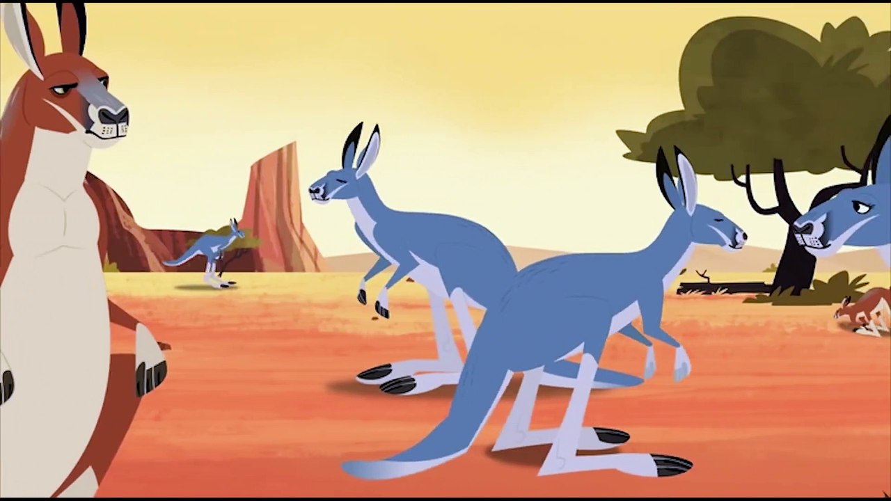 Wild Kratts Kangaroos and Koalas Kids Videos video Dailymotion