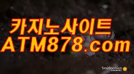 슬롯머신하는법 【【s t k 4 2 4，COM】】 온라인바카라이기는법