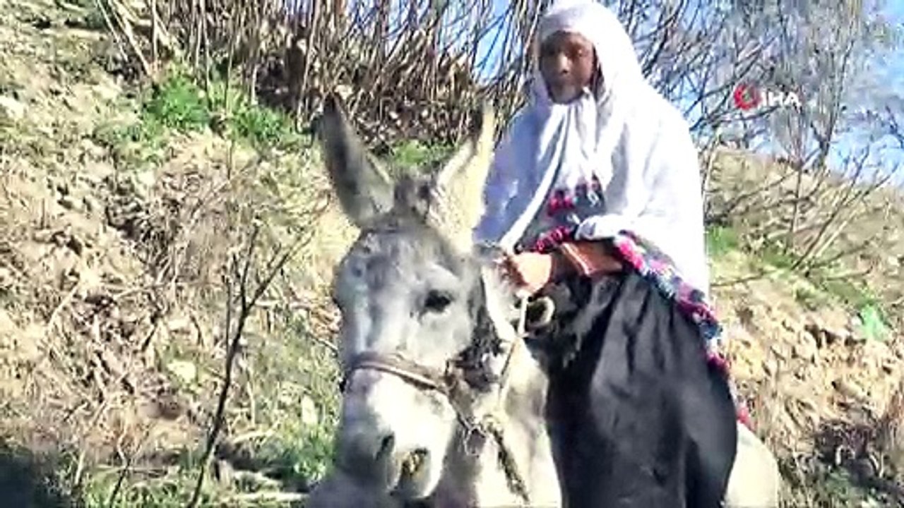 Otomobillere inat eşeğiyle son sürat