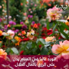 فيديو تفسير رؤية الورد في المنام وألوانها في الحلم!