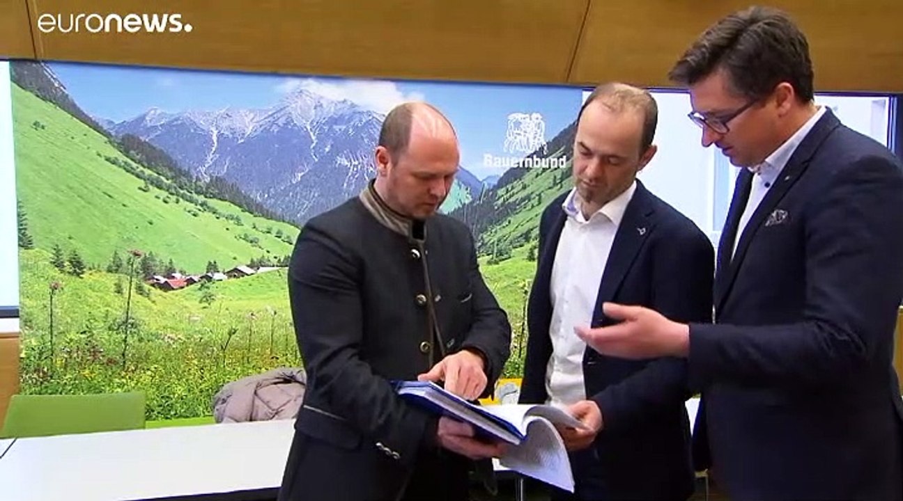 Nach Kuh-Attacke: Auf Österreichs Almen droht Wanderverbot